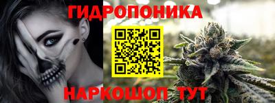 скорость Заволжье