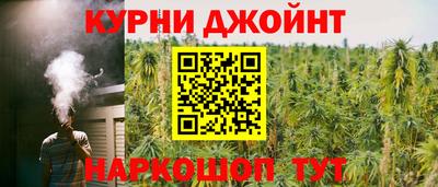 крисы Жуковский