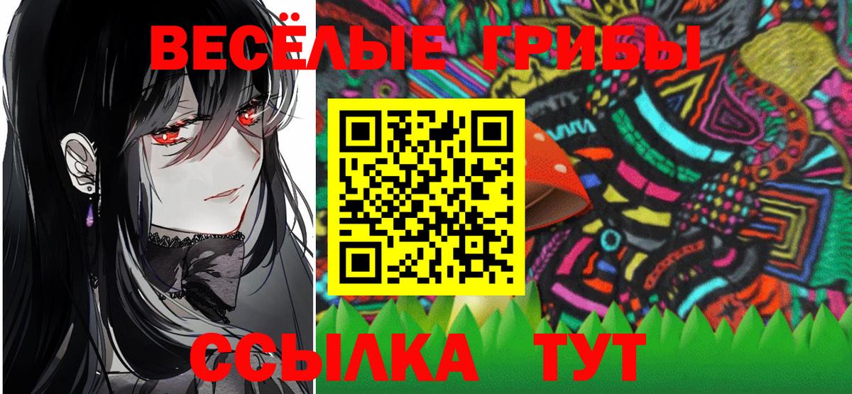 Галлюциногенные грибы Psilocybine cubensis  Вход с VPN  Лесосибирск 